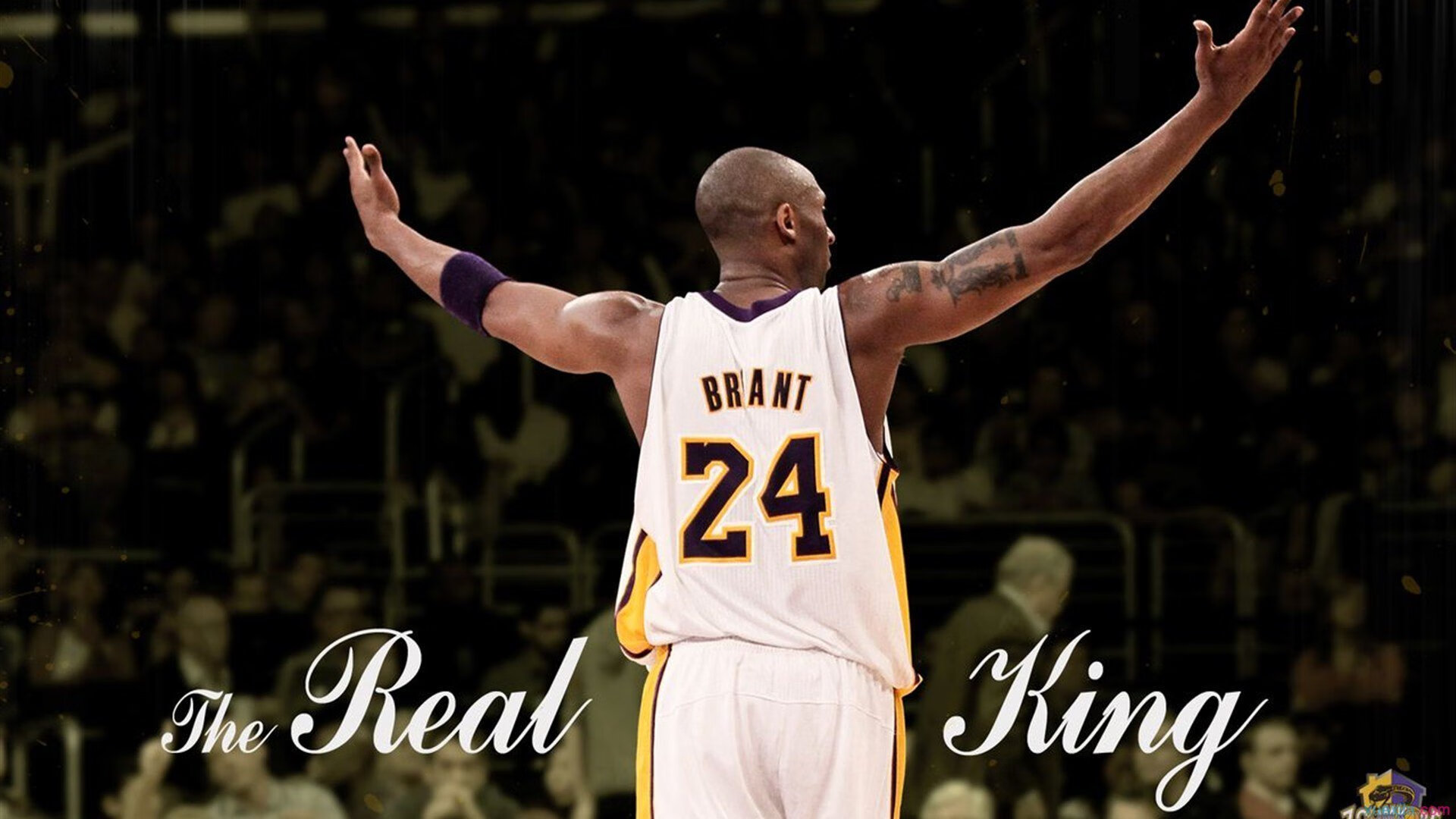 东南亚巡回赛：胜者为王夺冠殊荣，东南亚联赛